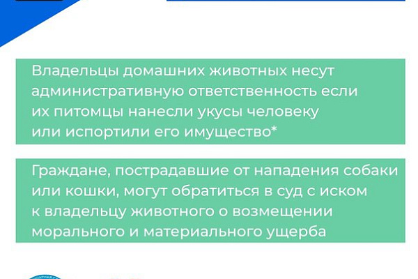 Алгоритм действий в случае нападения безнадзорных животных