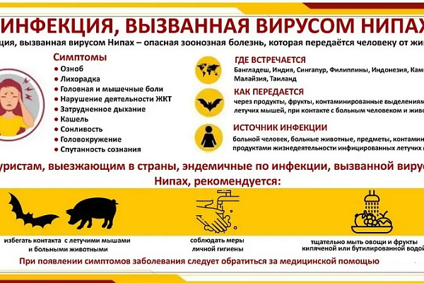 Инфекция, вызванная вирусом нипах 