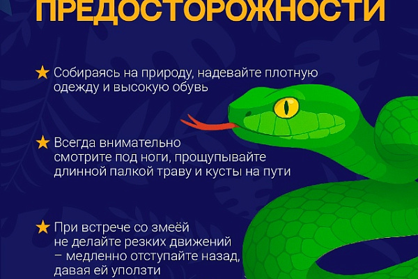 Внимание: Опасность!