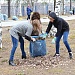 Медики Урая поддержали Всероссийскую экологическую акцию