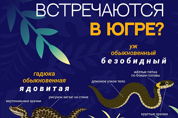 Внимание: Опасность!