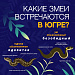 Внимание: Опасность!