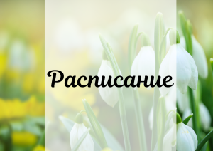 Расписание работы подразделений в период Праздника Весны и Труда  и 80-летия Победы в Великой Отечественной войне 1941-1945 годов 