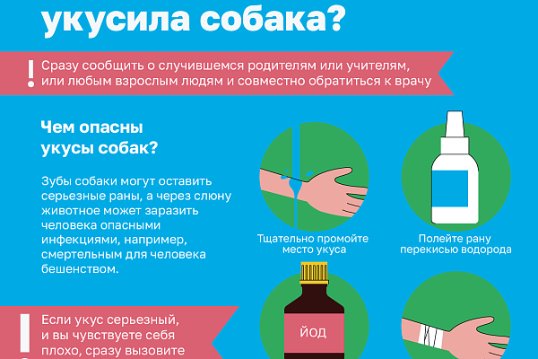 Как не стать жертвой укуса собаки 