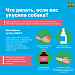 Как не стать жертвой укуса собаки 