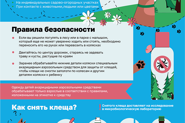 В Урайской больнице зафиксировано 169 обращений из-за укусов клещей