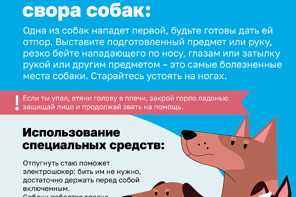 Как не стать жертвой укуса собаки 