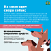 Как не стать жертвой укуса собаки 