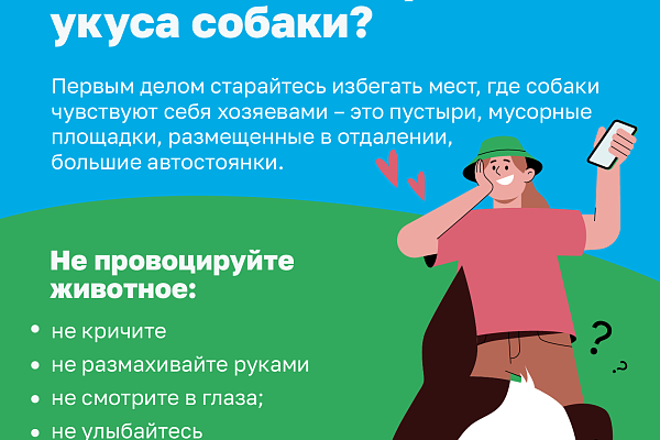 Как не стать жертвой укуса собаки 