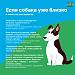 Как не стать жертвой укуса собаки 