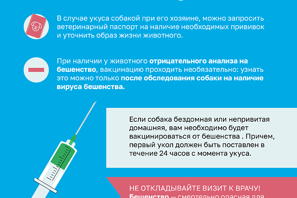 Как не стать жертвой укуса собаки 
