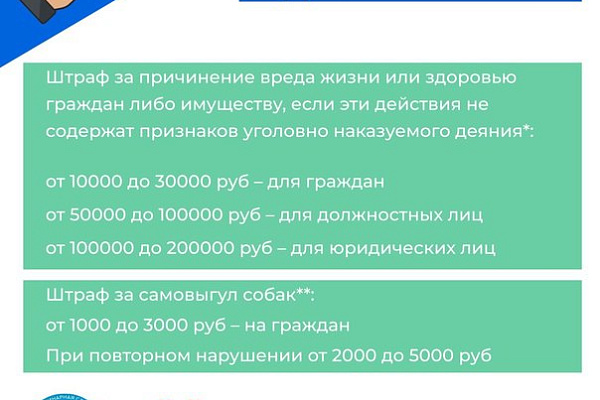 Алгоритм действий в случае нападения безнадзорных животных